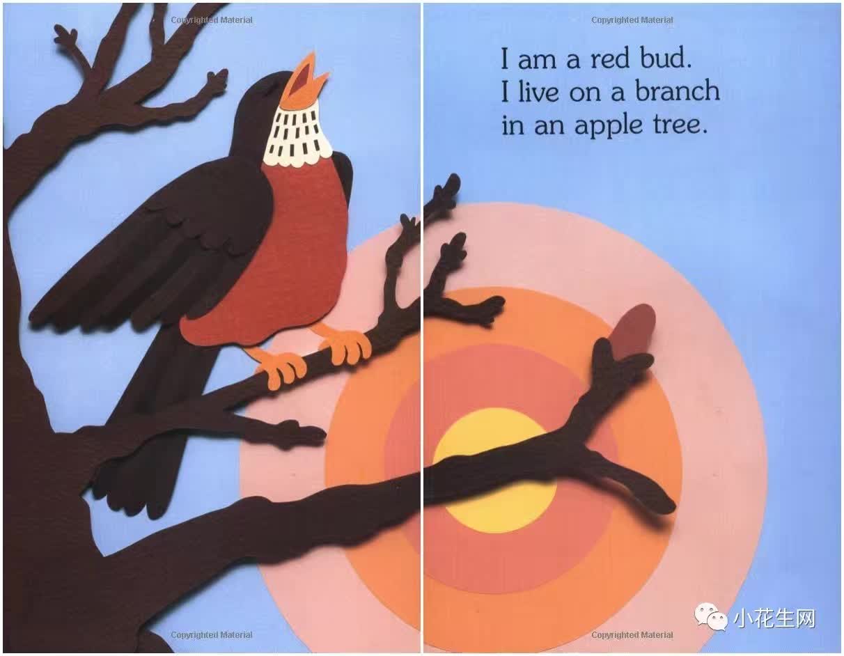 如何带孩子入门英语阅读理解,从零基础学英语到流利要多久