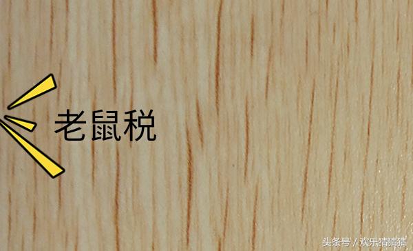 世界各国税收标准,盘点世界上那些奇葩的税收