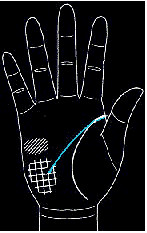 手的生命线是越长越好吗,手纹上的生命线越长越好吗