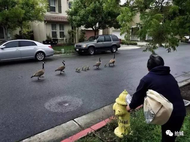 100个风景摄影师,100个顶级摄影师的精彩照片