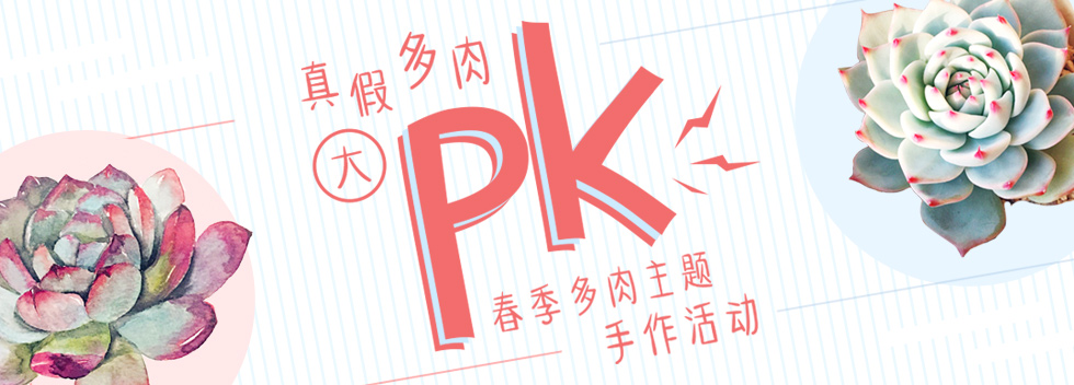 鏀惧純鍥藉楂樿柂鍥炲浗鍐滄潙鎵庢牴,鏀惧純楂樿柂璺戝埌娣卞北