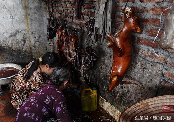 越南狗肉一条街,越南狗市全过程