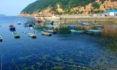辽宁国家级海洋公园旅游景区,辽宁省海洋公园