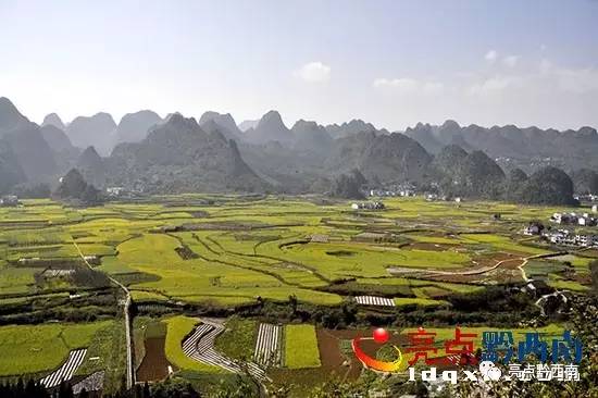 贵州万峰林油菜花怎么玩,贵州万峰林最美油菜花视频