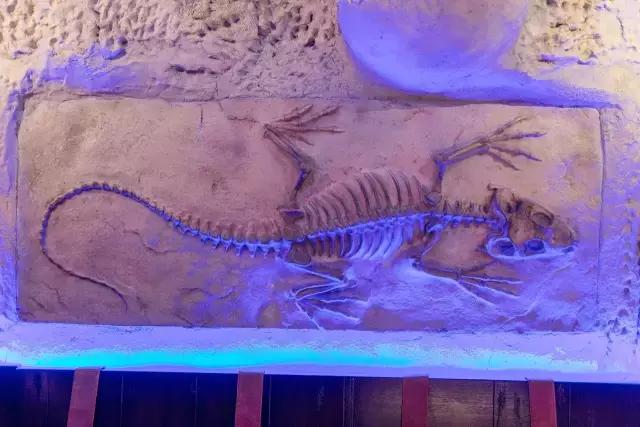 广州儿童主题餐厅,广州榴莲主题餐厅