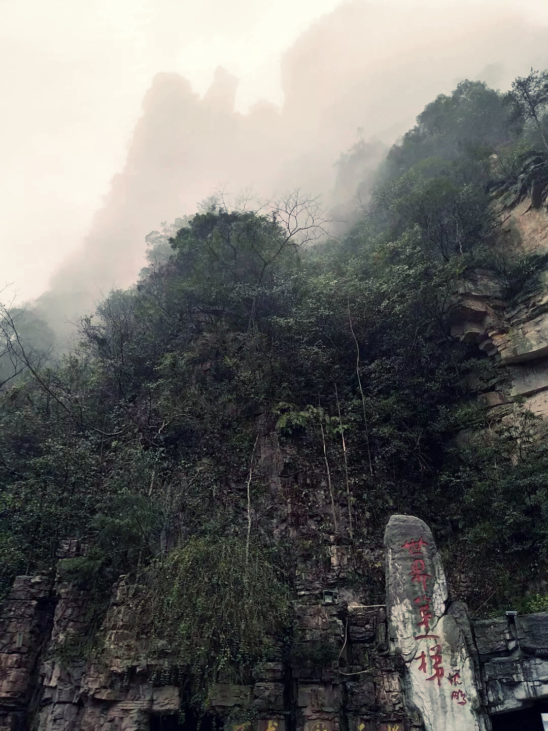 老人湖南旅游攻略,湘西旅游攻略中老年游玩