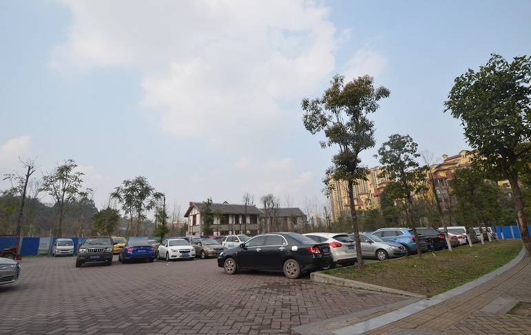 临港为什么那么多公园,宜宾临港公园