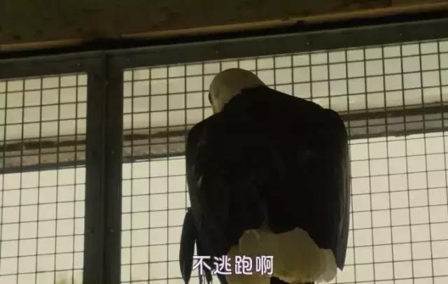 这部电影告诉我们什么道理,这部电影告诉我们一个什么道理