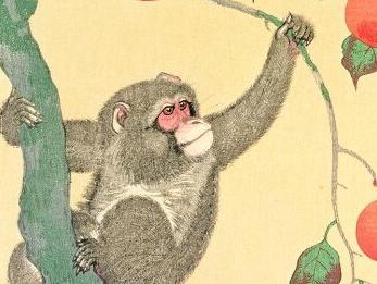 1986年属虎和1992年属猴婚配,92年属猴女和94年属狗男婚配好吗