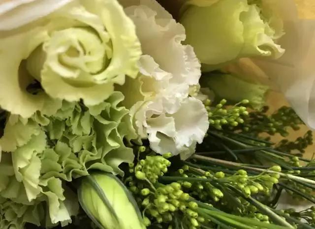 我们用1000元的教训告诉你:包月鲜花全是坑!一家都不推荐!