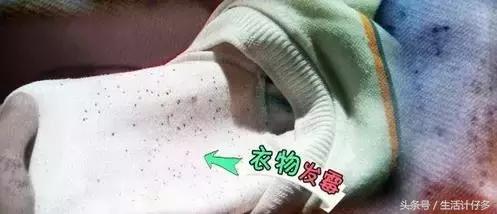 回南天是如何产生霉菌的,回南天霉菌