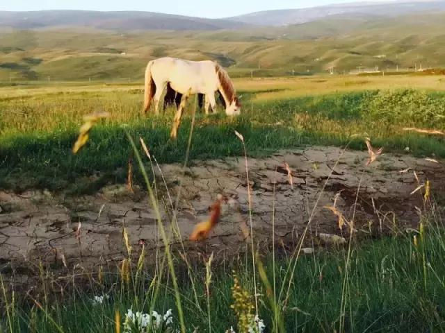 自驾滇藏最全攻略,入藏自驾攻略