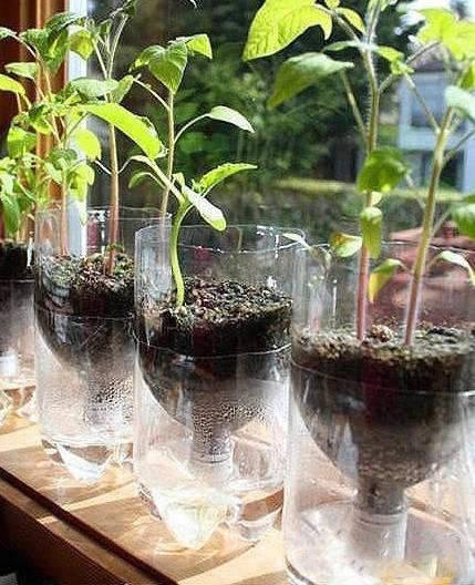 如何用塑料瓶做花盆图解,怎么用塑料瓶做花盆图解