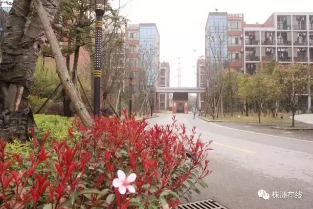 二中今年考得怎么样,二中好进吗