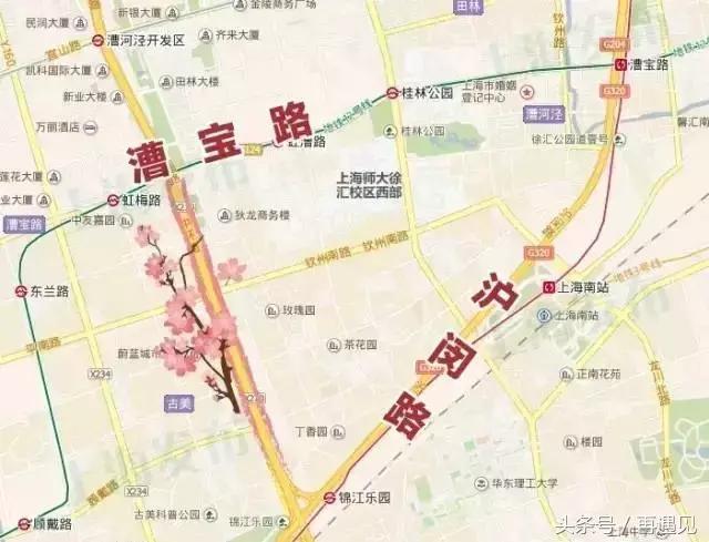 樱花季攻略完整版,樱花上海攻略