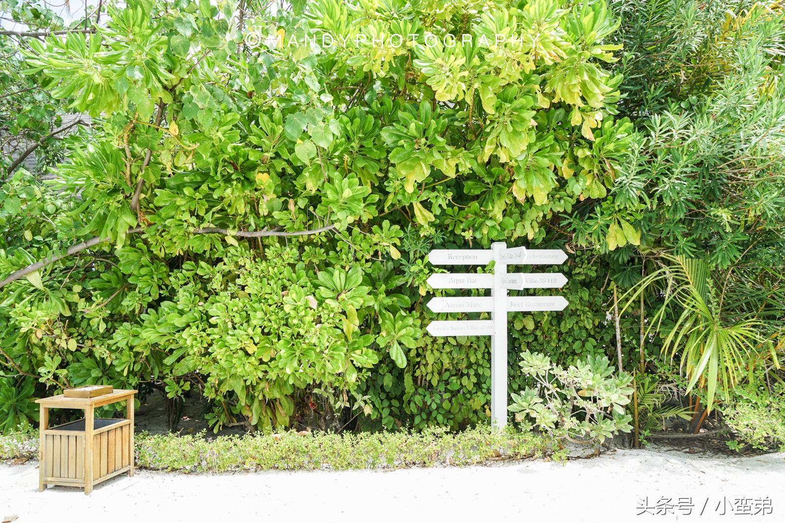 马尔代夫值得去多次吗,马尔代夫有多重要