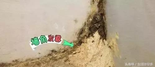 回南天是如何产生霉菌的,回南天霉菌