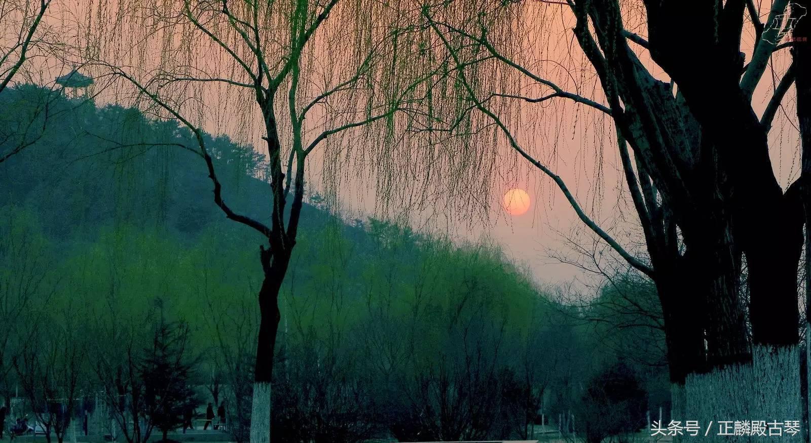 古琴之道丨《阳关三叠》离别苦，相濡以沫，不如相忘于江湖