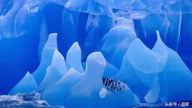 从开普敦到南极，来个一日游怎么样