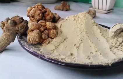 不做斑女郎的护肤品,不做斑女郎完整视频