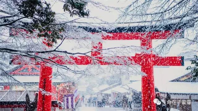 拉面 · 自动贩售机 · 雪｜云之彼岸的日本欢脱之旅