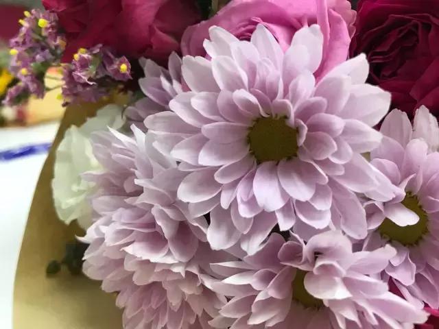 成都鲜花包月99每月4次,花费上万测评1个月