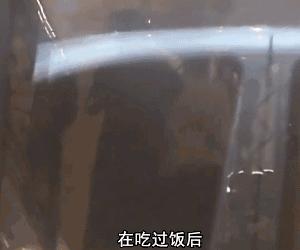 安以轩沦为大龄剩女为何还能得宠,安以轩婚后幸福