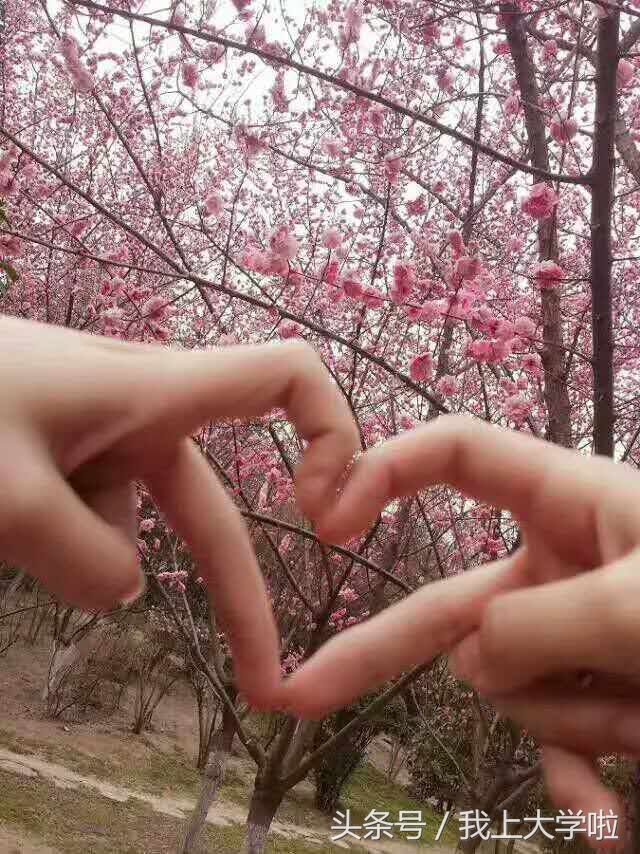 延大，我想许你十里桃花，谢谢你！