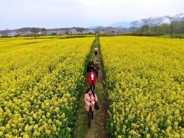 湖北孝昌今年美爆了！只因做了个“艰难的决定”