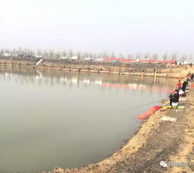 淮北钓鱼比赛直播,第一届名钓杯钓鱼邀请赛