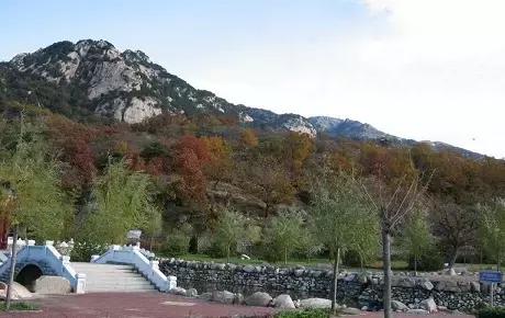 定个小目标100天,定个小目标完整版