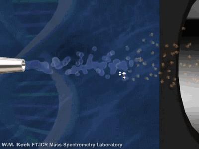 20张动图秒懂四大名谱原理！