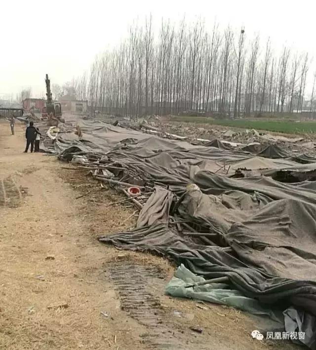 宋振波淄博,宋振波临淄