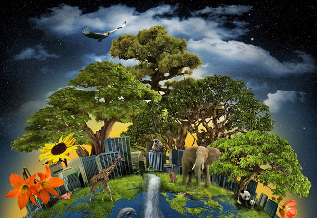 关于进化论的真相,为什么说进化论是错的