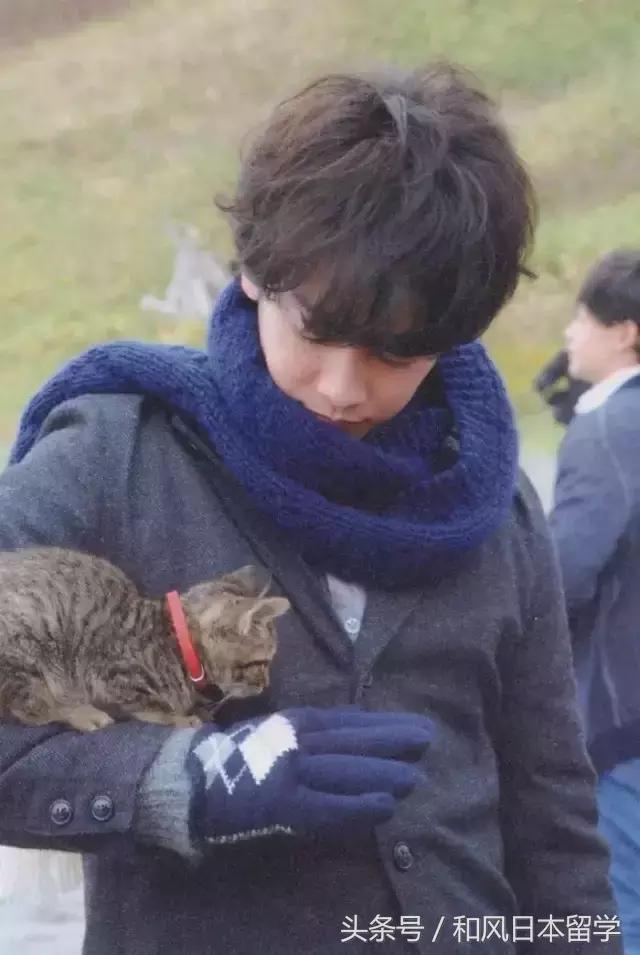 佐藤健生活中究竟是个什么样的人,佐藤健被评为最想拥有的容貌之一