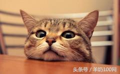 黑心奶粉曝光,进口奶粉含有辐射