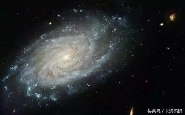 昆虫的微观小世界,微观世界每只昆虫都有它的故事