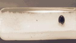 压力太大了感觉自己快崩溃了,压力太大的时候不妨看一看