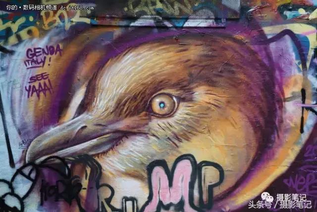 索尼a9拍摄剧照,我与索尼相机近20年的情缘