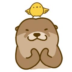 美国亚马逊fba退货收两次运费,美国亚马逊在美国退货流程