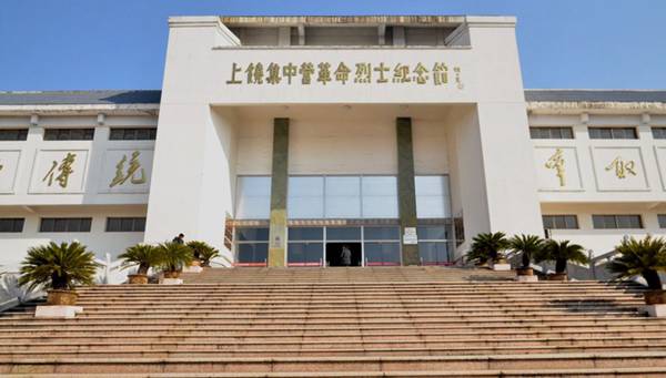 每日花语：3月22日锦葵-同日之星张梓琳（图）