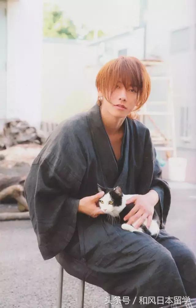 佐藤健颜值评价,佐藤健在日本颜值排名