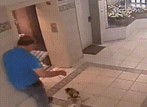 小伙子结婚也太激动了，新娘差点被摔伤呀！