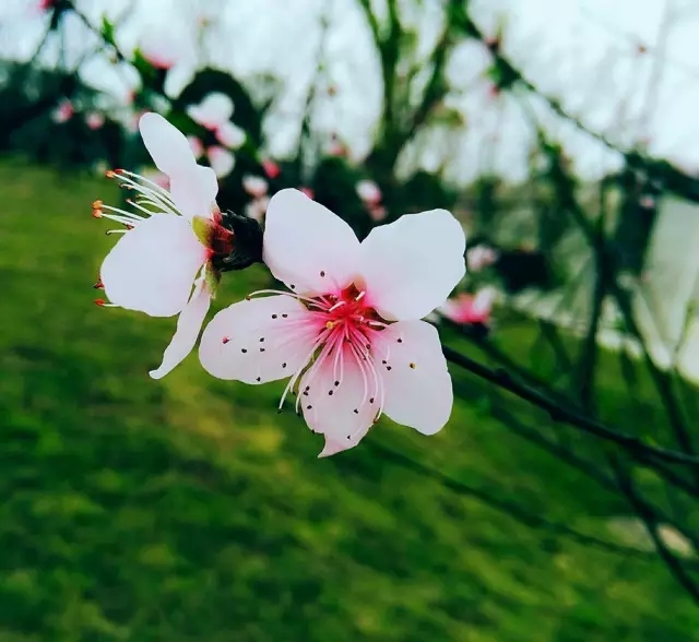 <html>
<head><title>502BadGateway</title></head>
<body>
<center><h1>502BadGateway</h1></center>
<hr><center>nginx</center>
</body>
</html>
<!--apaddingtodisableMSIEandChromefriendlyerrorpage-->
<!--apaddingtodisableMSIEandChromefriendlyerrorpage-->
<!--apaddingtodisableMSIEandChromefriendlyerrorpage-->
<!--apaddingtodisableMSIEandChromefriendlyerrorpage-->
<!--apaddingtodisableMSIEandChromefriendlyerrorpage-->
<!--apaddingtodisableMSIEandChromefriendlyerrorpage-->
