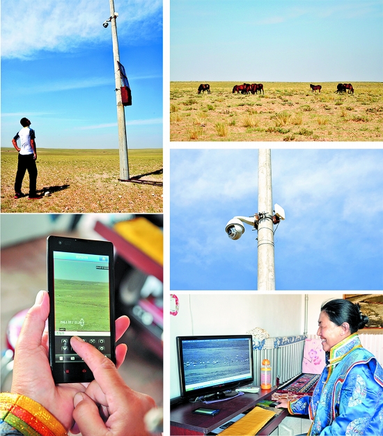 电影三生三世十里桃花手机壳,十里桃花手机壳