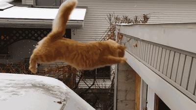 妹子说她没整容怎么解释,女性整容明星却说自己没整容