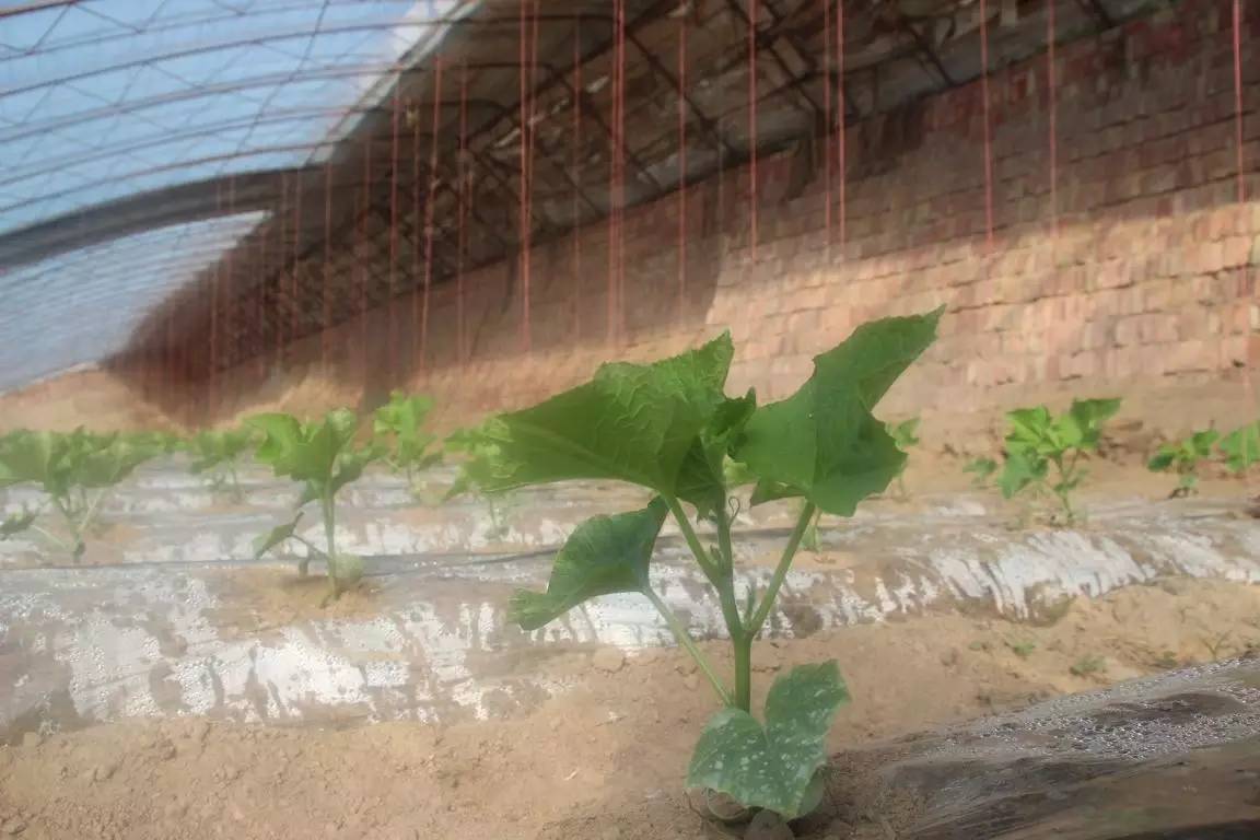 走基层贵在走心,走在乡村振兴的大路上