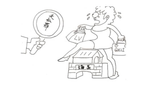 海外代购逃脱多少关税不构成犯罪,一典通