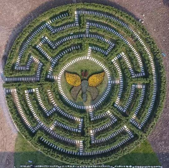 宁波好玩的迷宫,动心吗