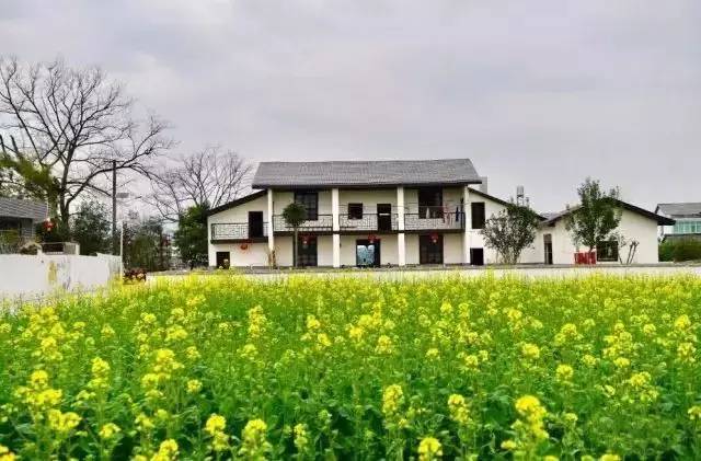 10大主题50条旅游精品线路,浏阳夏季游玩攻略